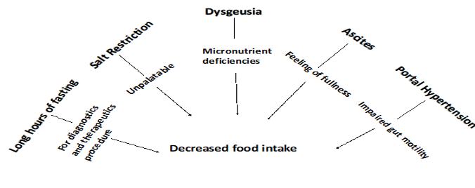 Nutritional Management in Chronic Liver Diseases and Liver Transplantation